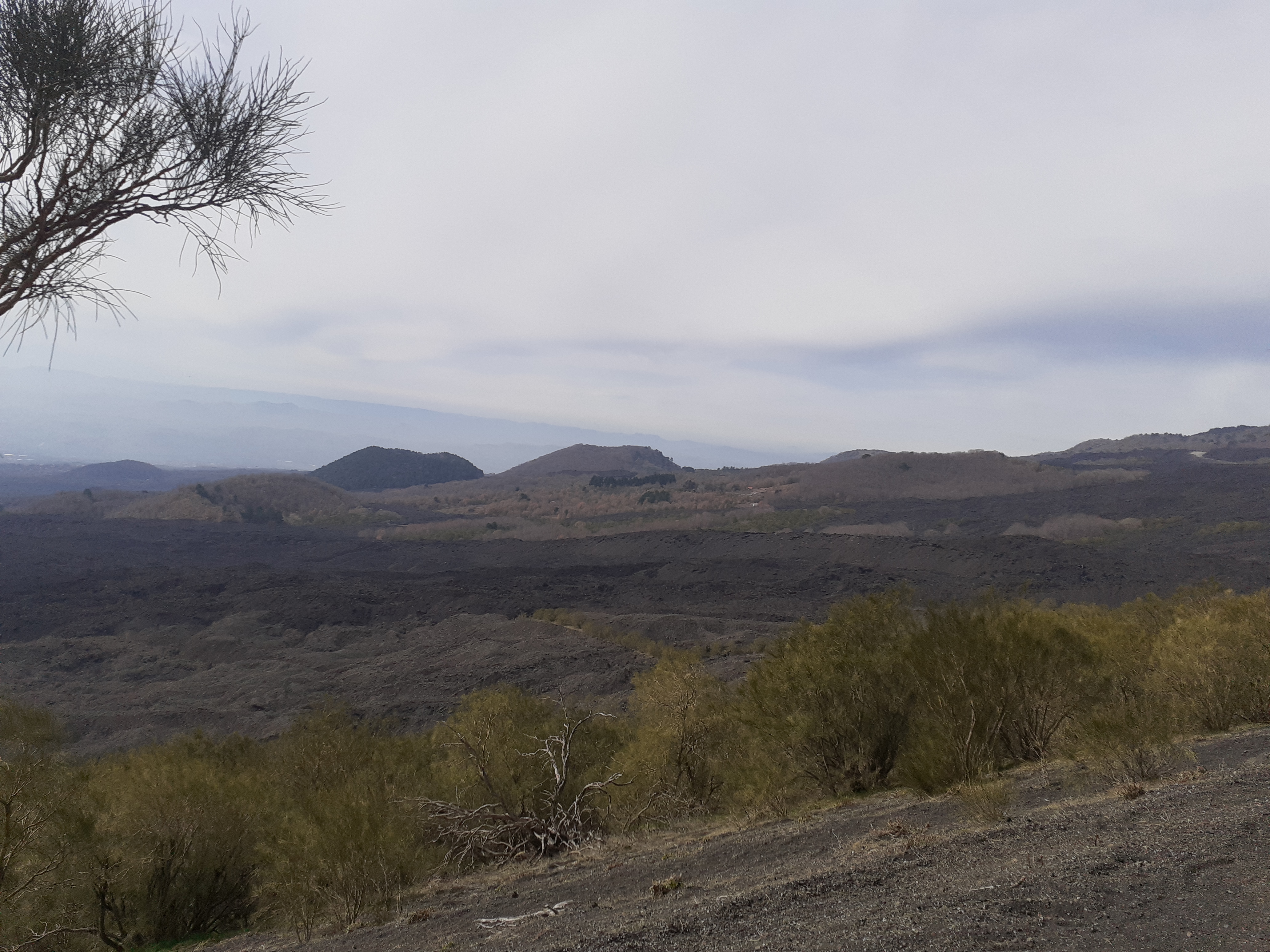 Monte Gemmellaro-Numero visite:39924